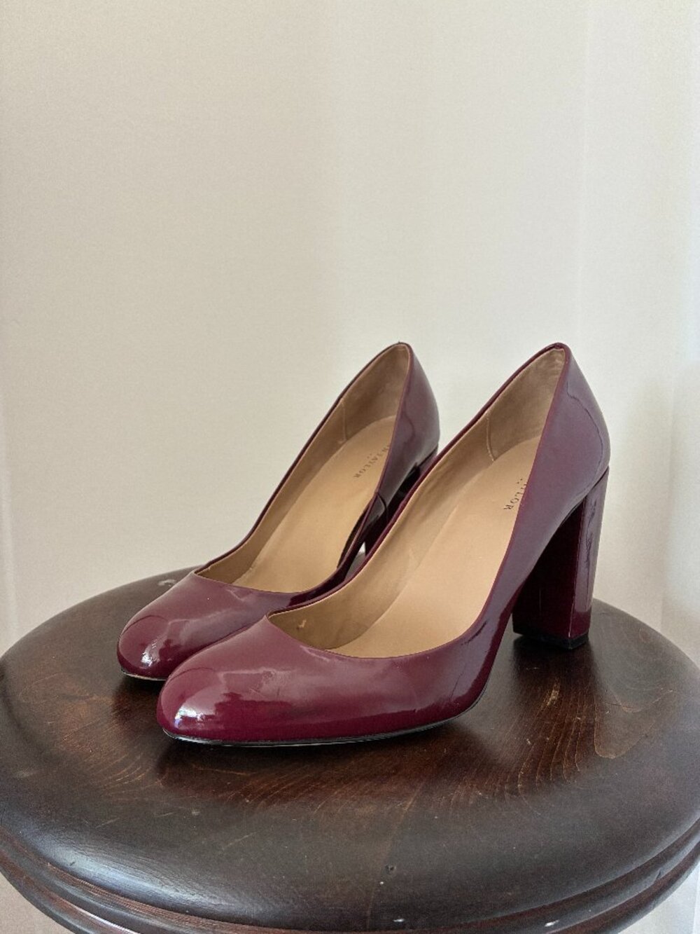 ann taylor